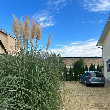 Nest Zen Garden Διαμέρισμα Νόβι Σαντ Εξωτερικό φωτογραφία