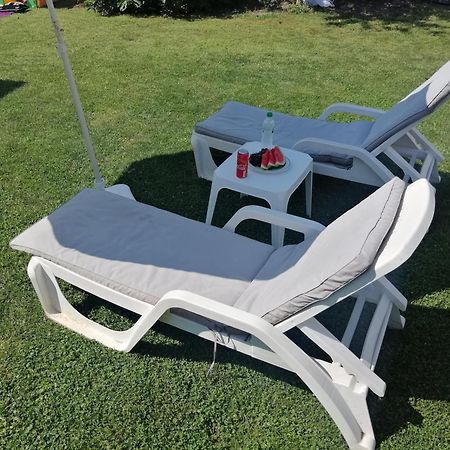 Nest Zen Garden Διαμέρισμα Νόβι Σαντ Εξωτερικό φωτογραφία