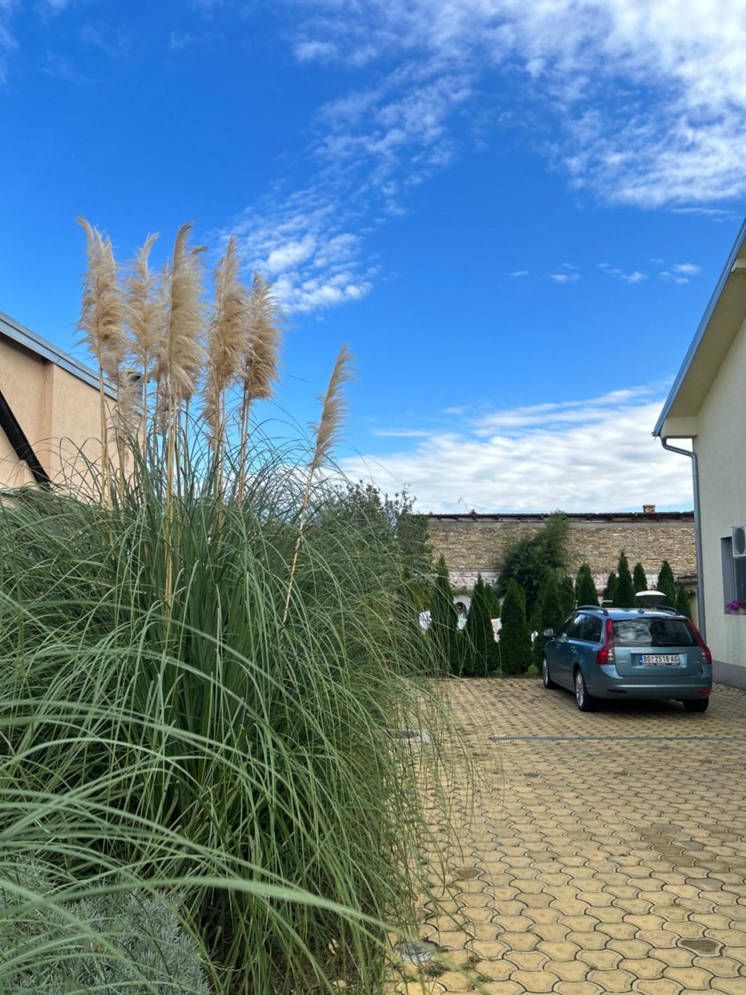 Nest Zen Garden Διαμέρισμα Νόβι Σαντ Εξωτερικό φωτογραφία