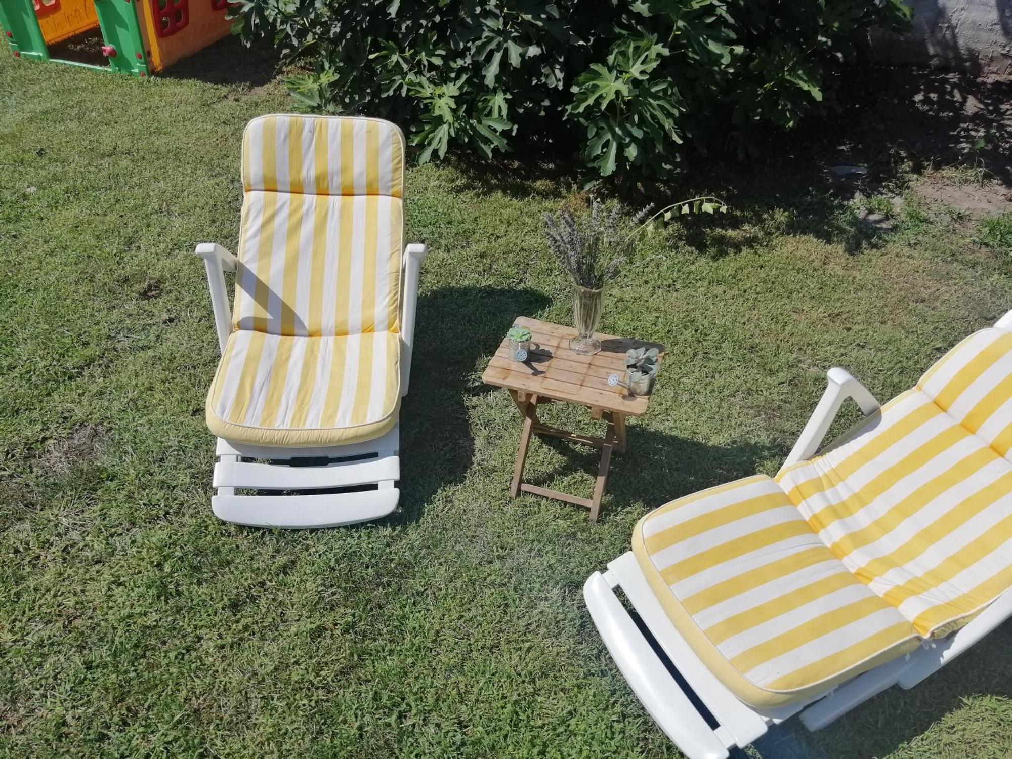 Nest Zen Garden Διαμέρισμα Νόβι Σαντ Εξωτερικό φωτογραφία